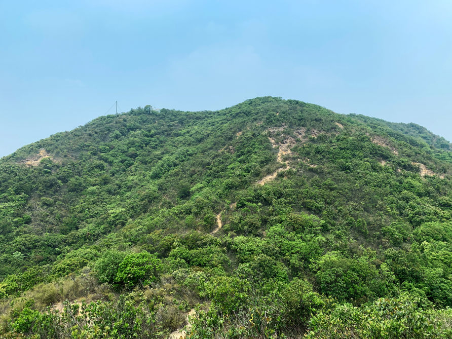 玉桂山