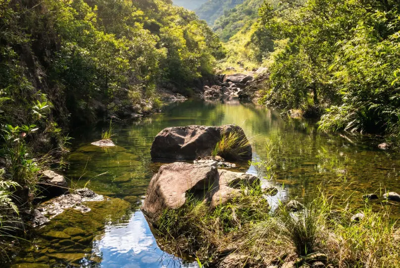 雙鹿石澗Sheung Luk Stream：香港最美石澗之一