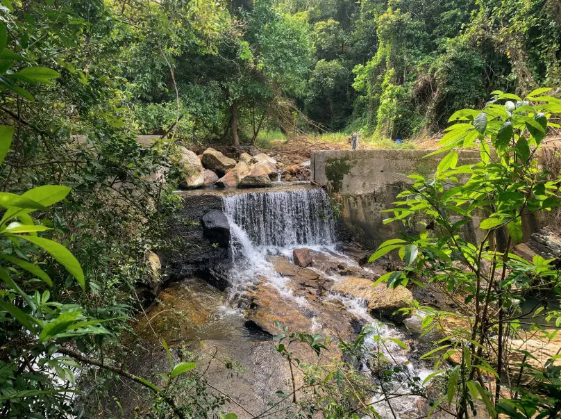 小夏威夷徑Little Hawaii Trail：觀賞瀑布及昔日水壩遺址